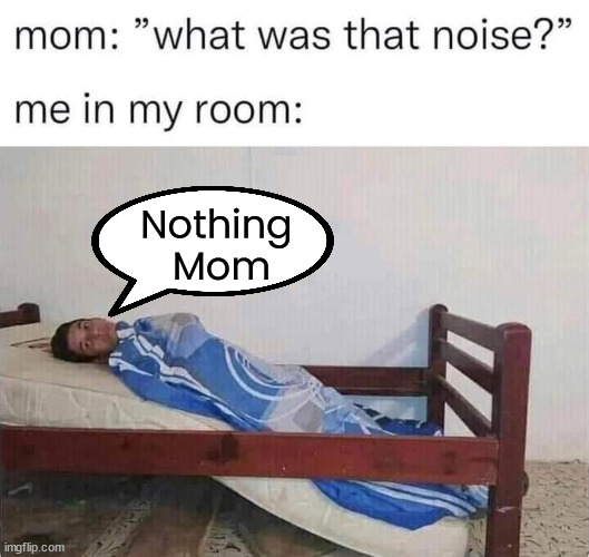 Nothing 
Mom | made w/ Imgflip meme maker