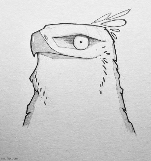 Bird for president | image tagged in try me hawk | made w/ Imgflip meme maker