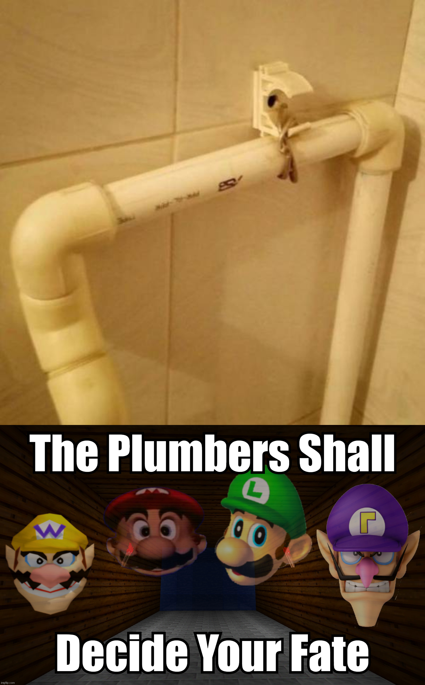 image tagged in the plumbers shall decide your fate | made w/ Imgflip meme maker