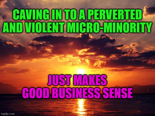 Sunset | CAVING IN TO A PERVERTED AND VIOLENT MICRO-MINORITY; JUST MAKES GOOD BUSINESS SENSE | image tagged in sunset | made w/ Imgflip meme maker