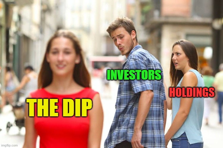 The crypto dip | INVESTORS; HOLDINGS; THE DIP | image tagged in cryptocurrency,hive,crypto,investing,funny,memes | made w/ Imgflip meme maker