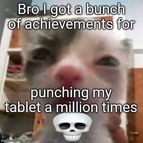 Cat lightskin stare | Bro I got a bunch of achievements for; punching my tablet a million times | image tagged in cat lightskin stare | made w/ Imgflip meme maker