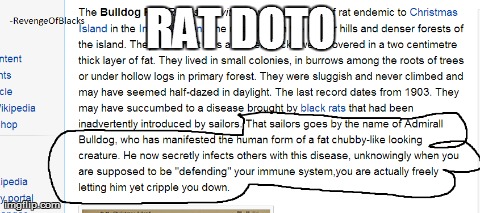 RAT DOTO | made w/ Imgflip meme maker