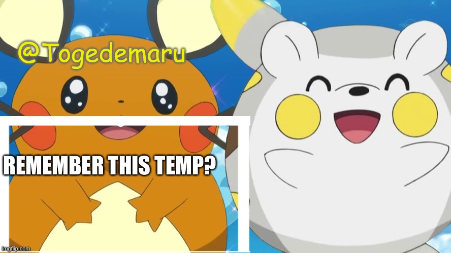 Togedemaru | REMEMBER THIS TEMP? | image tagged in togedemaru | made w/ Imgflip meme maker