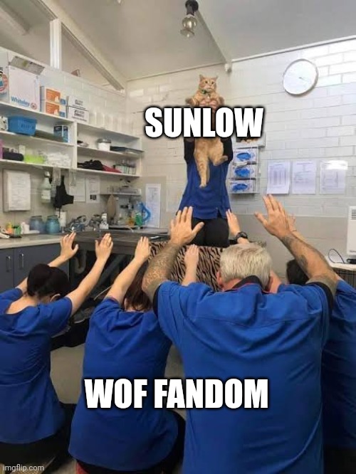 People Worshipping The Cat | SUNLOW WOF FANDOM | image tagged in people worshipping the cat | made w/ Imgflip meme maker