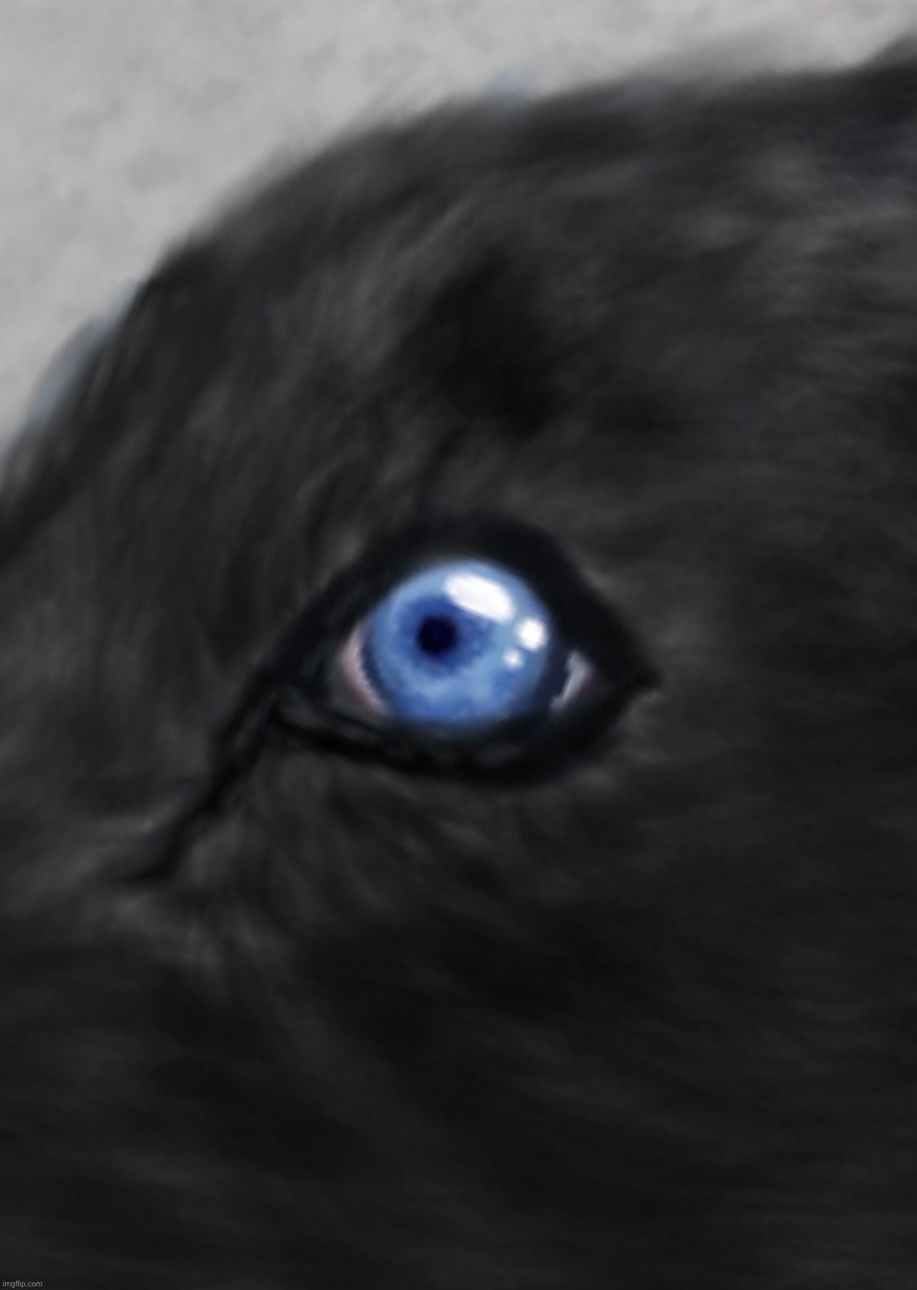 Eye detail on WIP (let’s hype up something nobody is excited for lol) | made w/ Imgflip meme maker