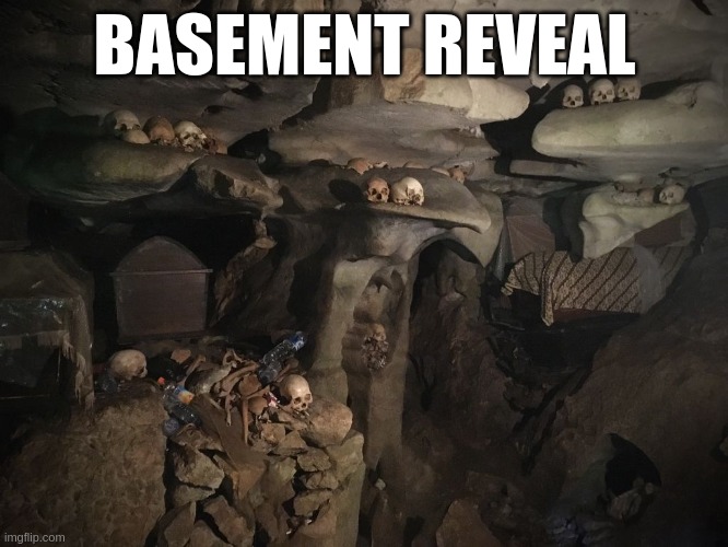 they are real | BASEMENT REVEAL | made w/ Imgflip meme maker