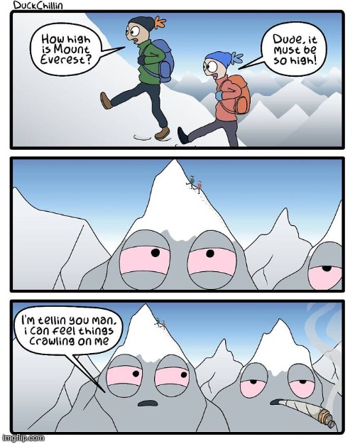 High on Mt. Everest | image tagged in mount everest,mountain,mountains,high,comics,comics/cartoons | made w/ Imgflip meme maker