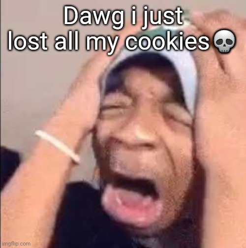 Flightreacts crying | Dawg i just lost all my cookies💀 | image tagged in flightreacts crying | made w/ Imgflip meme maker