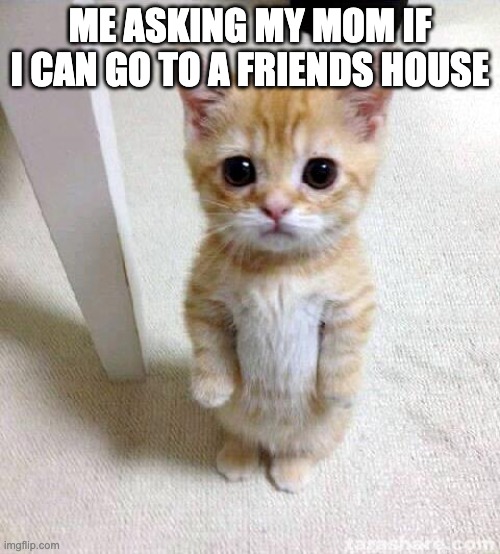 asking my mom permission | ME ASKING MY MOM IF I CAN GO TO A FRIENDS HOUSE | image tagged in memes,cute cat | made w/ Imgflip meme maker