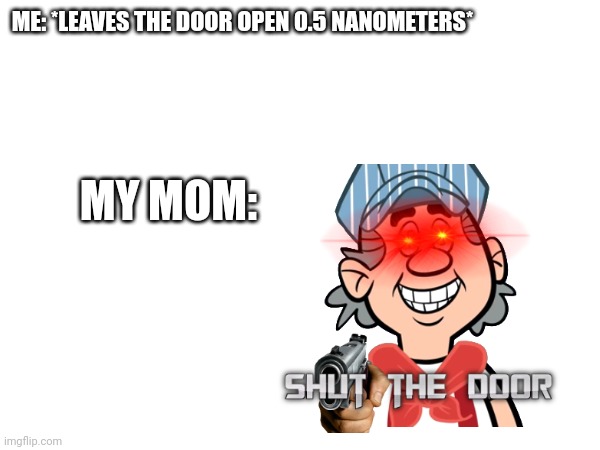 Parent meme 2 | ME: *LEAVES THE DOOR OPEN 0.5 NANOMETERS*; MY MOM: | image tagged in parents | made w/ Imgflip meme maker