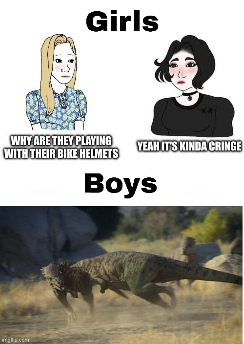 Girls vs Boys | WHY ARE THEY PLAYING WITH THEIR BIKE HELMETS; YEAH IT'S KINDA CRINGE | image tagged in girls vs boys,dinosaur,bike,helmet | made w/ Imgflip meme maker