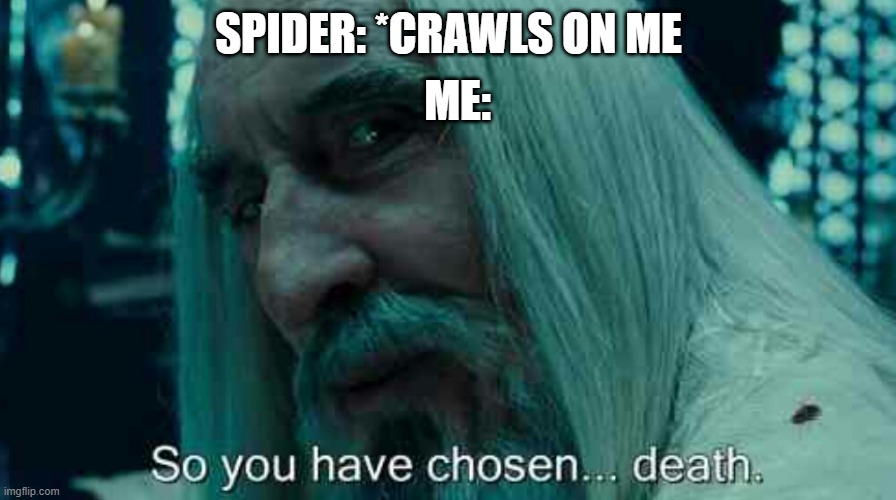 cant think of a title | ME:; SPIDER: *CRAWLS ON ME | image tagged in so you have chosen death | made w/ Imgflip meme maker