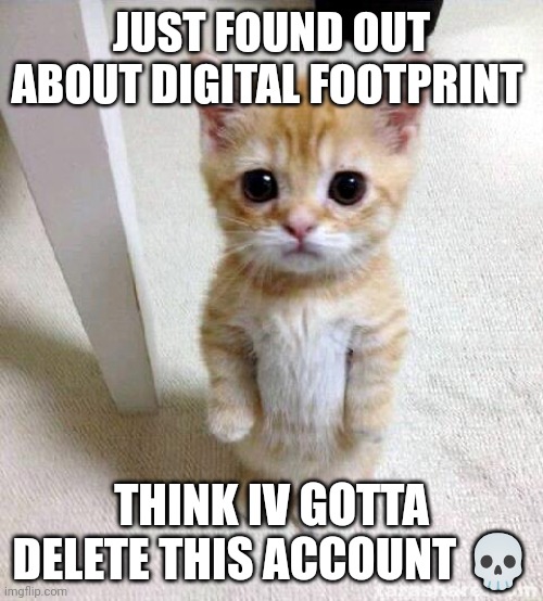Cute Cat | JUST FOUND OUT ABOUT DIGITAL FOOTPRINT; THINK IV GOTTA DELETE THIS ACCOUNT 💀 | image tagged in memes,cute cat | made w/ Imgflip meme maker