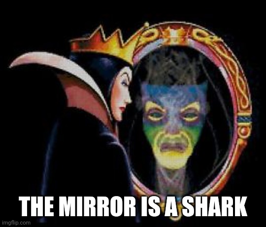 Mirror mirror on the wall | THE MIRROR IS A SHARK | image tagged in mirror mirror on the wall | made w/ Imgflip meme maker