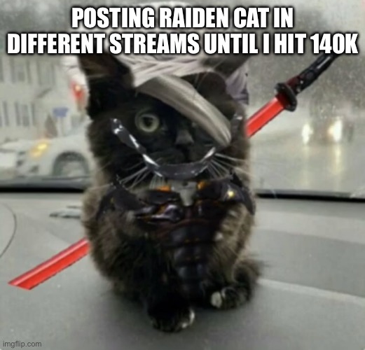 Doktor, Turn Off My Cute Inhibitors! | POSTING RAIDEN CAT IN DIFFERENT STREAMS UNTIL I HIT 140K | image tagged in raiden cat | made w/ Imgflip meme maker