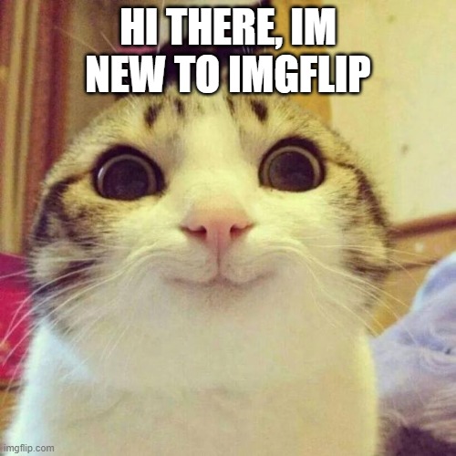 Smiling Cat | HI THERE, IM NEW TO IMGFLIP | image tagged in memes,smiling cat,imgflip | made w/ Imgflip meme maker