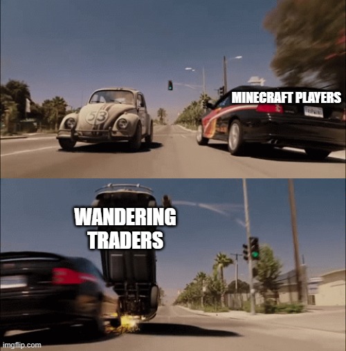 Minecraft players after seeing a wandering trader for 00000000.1 seconds | MINECRAFT PLAYERS; WANDERING TRADERS | image tagged in herbie dodges car | made w/ Imgflip meme maker