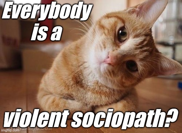 Curious Question Cat | Everybody is a violent sociopath? | image tagged in curious question cat | made w/ Imgflip meme maker
