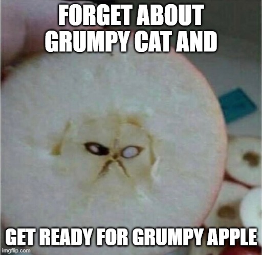 grumpy apple | FORGET ABOUT GRUMPY CAT AND; GET READY FOR GRUMPY APPLE | image tagged in grumpy cat,memes,funny,apple | made w/ Imgflip meme maker