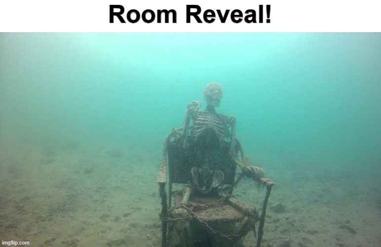 Room Reveal! | Room Reveal! | image tagged in room reveal | made w/ Imgflip meme maker