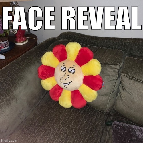 FACE REVEAL | image tagged in quagmirakami plushie sitting on couch | made w/ Imgflip meme maker