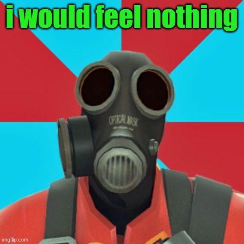Paranoid Pyro | i would feel nothing | image tagged in paranoid pyro | made w/ Imgflip meme maker