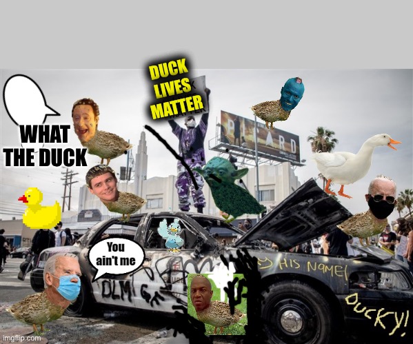 Duck Power | DUCK LIVES MATTER; WHAT THE DUCK | image tagged in duck lives matter | made w/ Imgflip meme maker