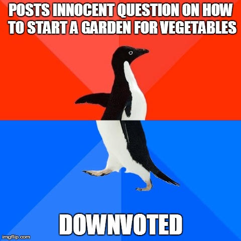 Socially Awesome Awkward Penguin | POSTS INNOCENT QUESTION ON HOW TO START A GARDEN FOR VEGETABLES DOWNVOTED | image tagged in memes,socially awesome awkward penguin,AdviceAnimals | made w/ Imgflip meme maker