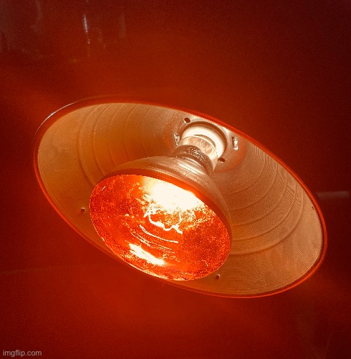 Heat lamp | image tagged in photography,photos | made w/ Imgflip meme maker