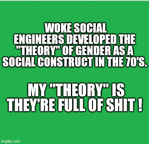 Green Screen | WOKE SOCIAL ENGINEERS DEVELOPED THE "THEORY" OF GENDER AS A SOCIAL CONSTRUCT IN THE 70'S. MY "THEORY" IS THEY'RE FULL OF SHIT ! | image tagged in green screen | made w/ Imgflip meme maker