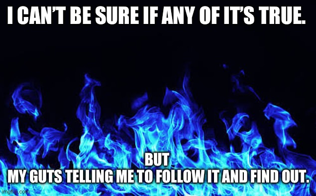 Blue Flames | I CAN’T BE SURE IF ANY OF IT’S TRUE. BUT 
MY GUTS TELLING ME TO FOLLOW IT AND FIND OUT. | image tagged in blue flames | made w/ Imgflip meme maker