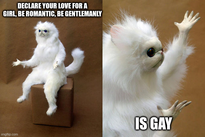 gay guy | DECLARE YOUR LOVE FOR A GIRL, BE ROMANTIC, BE GENTLEMANLY; IS GAY | image tagged in memes,persian cat room guardian | made w/ Imgflip meme maker