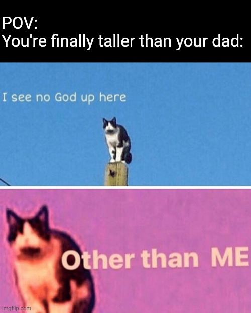 I'm finally taller than him | POV:
You're finally taller than your dad: | image tagged in hail pole cat,memes,dad,tall,goals,tallest in the family | made w/ Imgflip meme maker
