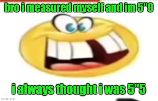 Happy yet cursed | bro i measured myself and im 5"9; i always thought i was 5"5 | image tagged in happy yet cursed | made w/ Imgflip meme maker