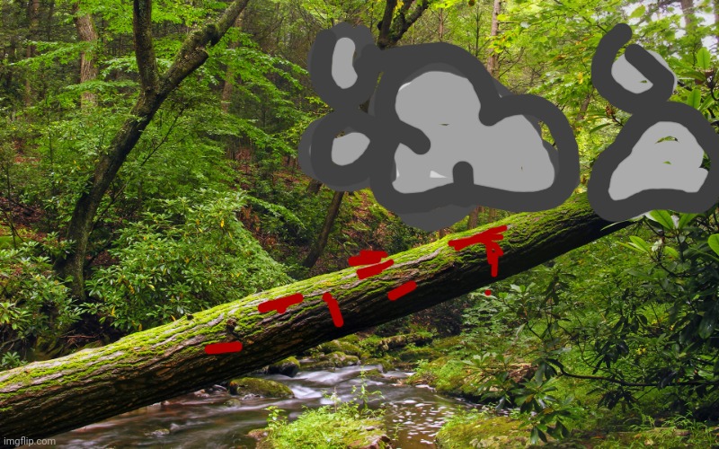 Fallen tree in forest | made w/ Imgflip meme maker