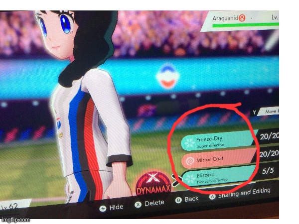 I took a pictures of the shit Pokémon sword decided to add to my battle | image tagged in pokemon,you had one job | made w/ Imgflip meme maker