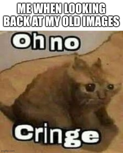 oH nO cRInGe | ME WHEN LOOKING BACK AT MY OLD IMAGES | image tagged in oh no cringe | made w/ Imgflip meme maker