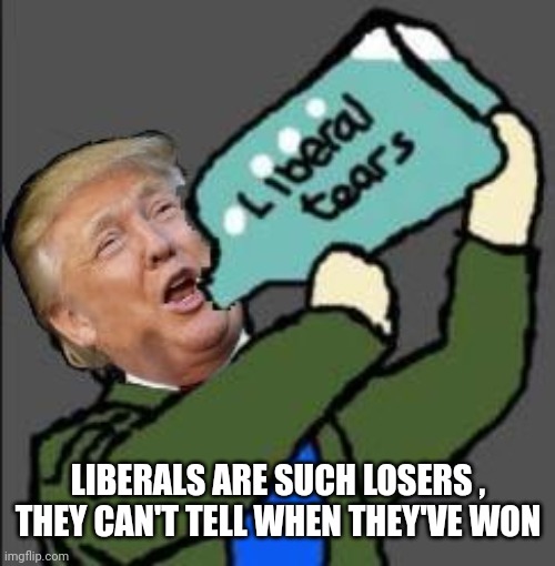 Liberal tears | LIBERALS ARE SUCH LOSERS , THEY CAN'T TELL WHEN THEY'VE WON | image tagged in liberal tears | made w/ Imgflip meme maker