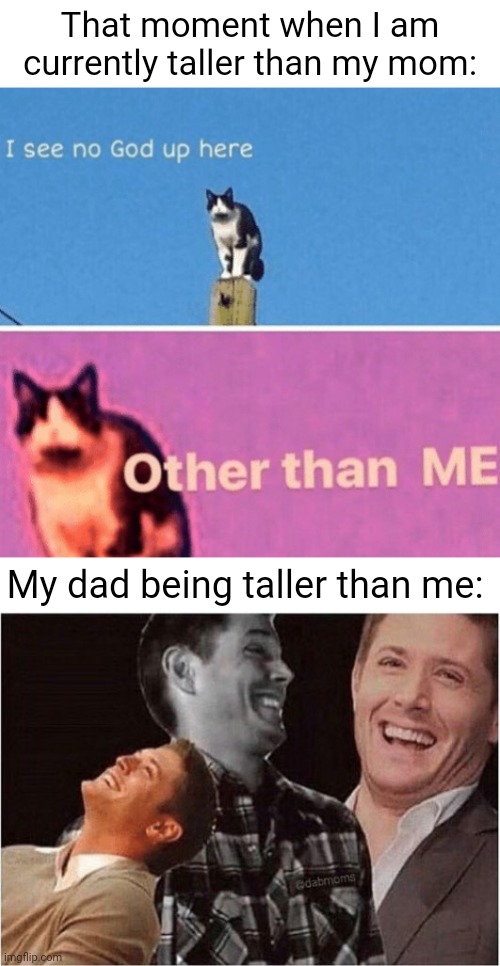 Taller than one of my parents | That moment when I am currently taller than my mom:; My dad being taller than me: | image tagged in superior,i see no god up here other than me,tall,height,memes,taller | made w/ Imgflip meme maker