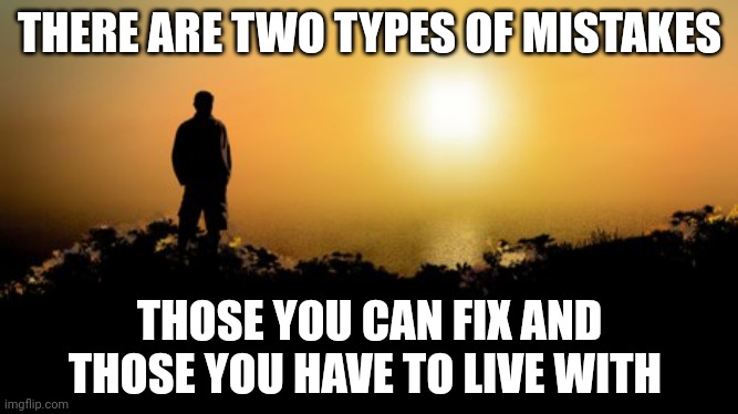 Mistakes | THERE ARE TWO TYPES OF MISTAKES; THOSE YOU CAN FIX AND THOSE YOU HAVE TO LIVE WITH | image tagged in fix | made w/ Imgflip meme maker