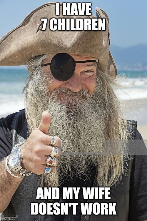 PIRATE THUMBS UP | I HAVE 7 CHILDREN AND MY WIFE DOESN'T WORK | image tagged in pirate thumbs up | made w/ Imgflip meme maker