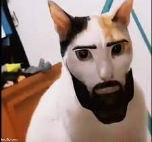 Chad cat | image tagged in giga chad,cat | made w/ Imgflip meme maker