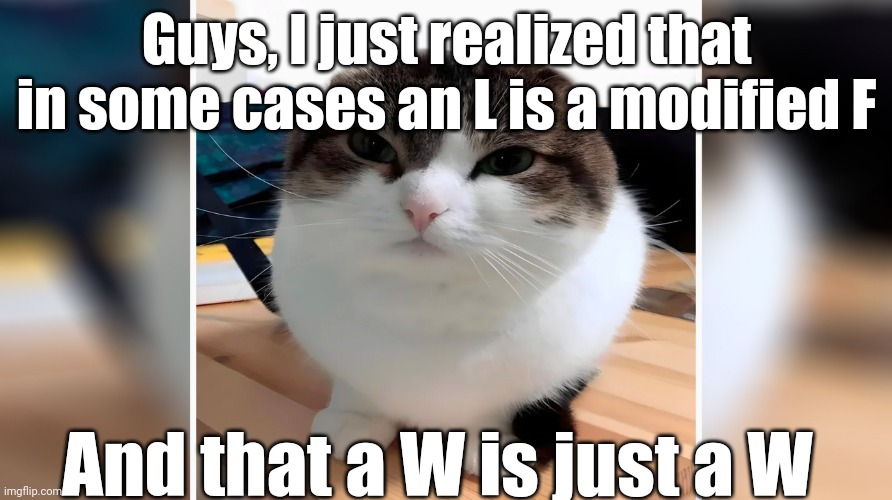 Huh. Interesting. | Guys, I just realized that in some cases an L is a modified F; And that a W is just a W | image tagged in wawa cat oh the misery | made w/ Imgflip meme maker