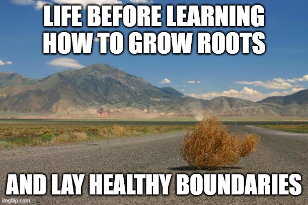 Human Tumbleweed | LIFE BEFORE LEARNING HOW TO GROW ROOTS; AND LAY HEALTHY BOUNDARIES | image tagged in tumbleweed | made w/ Imgflip meme maker