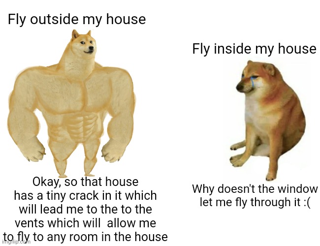 That's how flies work | Fly outside my house; Fly inside my house; Okay, so that house has a tiny crack in it which will lead me to the to the vents which will  allow me to fly to any room in the house; Why doesn't the window let me fly through it :( | image tagged in memes,buff doge vs cheems,funny,fly,so true memes,so true | made w/ Imgflip meme maker