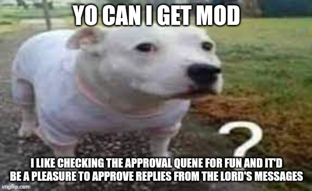 Dog question mark | YO CAN I GET MOD; I LIKE CHECKING THE APPROVAL QUENE FOR FUN AND IT'D BE A PLEASURE TO APPROVE REPLIES FROM THE LORD'S MESSAGES | image tagged in dog question mark | made w/ Imgflip meme maker