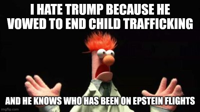 Bluberman | I HATE TRUMP BECAUSE HE VOWED TO END CHILD TRAFFICKING; AND HE KNOWS WHO HAS BEEN ON EPSTEIN FLIGHTS | image tagged in beeker panic | made w/ Imgflip meme maker