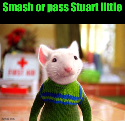 Stuart Little | Smash or pass Stuart little | image tagged in stuart little | made w/ Imgflip meme maker