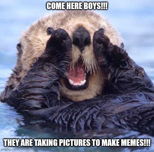 Filterless Otter | COME HERE BOYS!!! THEY ARE TAKING PICTURES TO MAKE MEMES!!! | image tagged in filterless otter | made w/ Imgflip meme maker